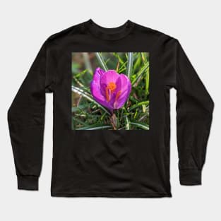 Orange and Purple Flower in the Sun Long Sleeve T-Shirt